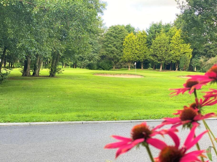 The Yorkshire Burrow Lodge With Hot Tub エクステリア 写真